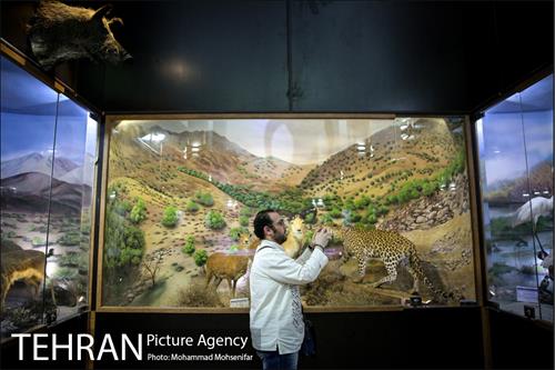 بازدید از موزه های منطقه ۱۳ 25