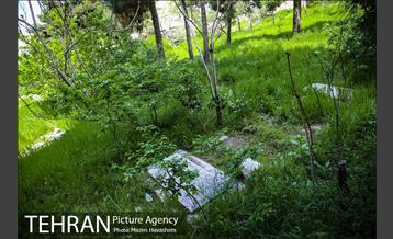 گورستان ده ونک 23