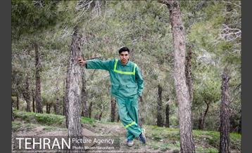 آیین غرس پنچ هزار اصله نهال در اراضی جنگل لویزان 8