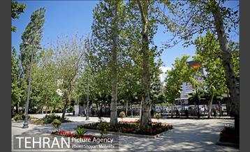 گذر پیاده راه استاد شهریار 11