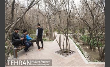 بوستان باغ ایرانی ده ونک 5