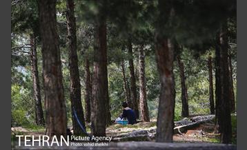 پارک چیتگر 10