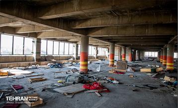 جای خالی پروانه ها 12