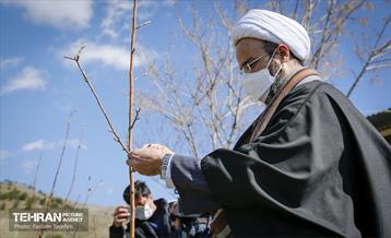 آیین غرس درخت در کوهسار با حضور معاون فرهنگی قوه قضاییه 5