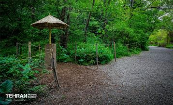 باغ گیاه‌شناسی 33