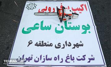 مانور برف روبی شهرداری منطقه 6 23