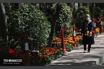 باغ ایرانی میزبان لاله‌ها 39