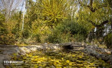 سمفونی رنگ های پاییزی - پارک لاله 6