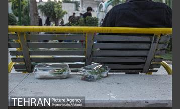 لقمه های مهربانی در محله امام زاده یحیی 7