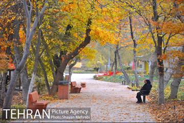 پاییز در پارک های تهران 26