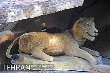 ژوراسیک پارک تهران 46
