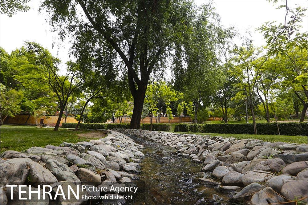 بوستان پلیس 8