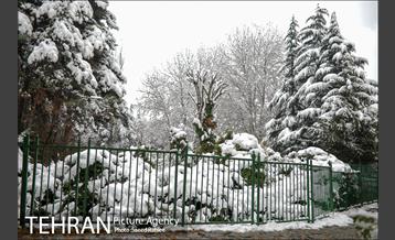 برف زمستانی پارک جمشیدیه 18