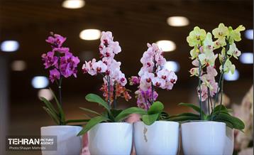 نوزدهمین نمایشگاه گل و گیاه تهران 24