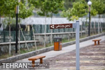 بوستان نهج البلاغه در یک روز بارانی 11
