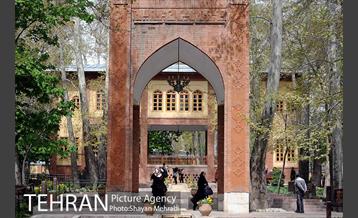 رویش گل های لاله در باغ ایرانی 19