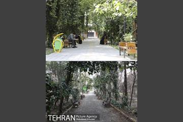 منطقه 7 در گذر زمان 5