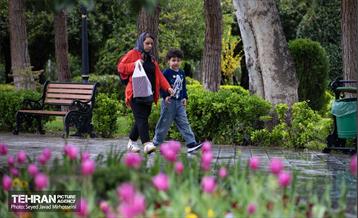 تیتر هوای بهاری تهران 16