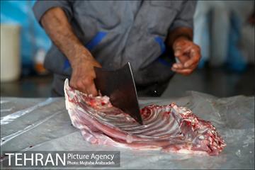 مرکز عرضه دام بهداشتی به مناسبت عید قربان در منطقه 14