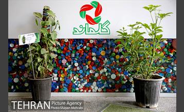 طرح گلماند در منطقه 18