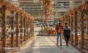 گذرگاه های پاییزی پایتخت - پارک ملت  8