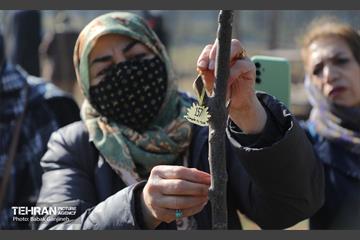 آیین یلدای مهربانی و کاشت نهال در بوستان سرخه حصار 23