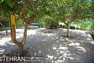 بوستان بسیج 20