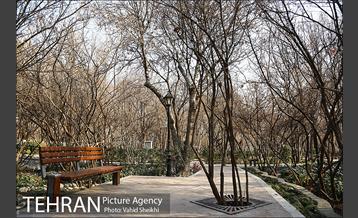 باغ ایرانی 24