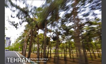 پارک چیتگر 2