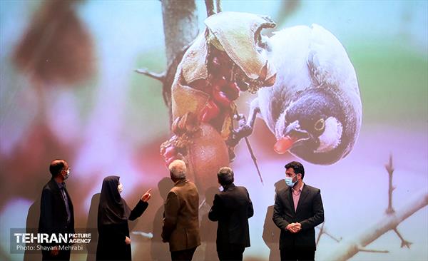 اختتامیه سومین دوره مسابقه عکاسی تنوع زیستی شهر تهران 44