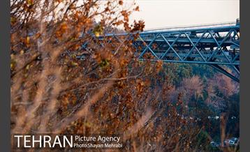 پاییز پل طبیعت 32