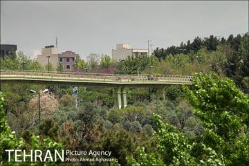 پل جدید بوستان آب و آتش 25