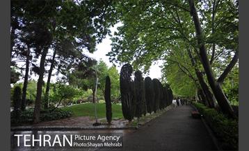 بوستان لاله 9