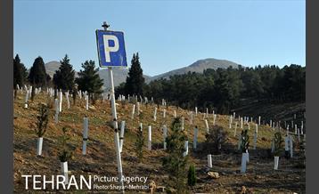 پارک جنگلی سرخه حصار 29