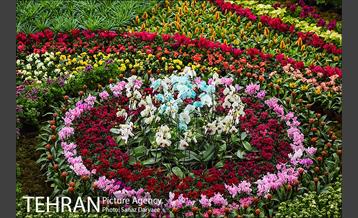 شانزدهمین نمایشگاه گل و گیاه تهران 27
