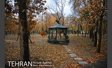 پاییز در پارک شهر 15
