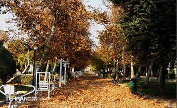 گذر پاییزی بوستان رازی 1