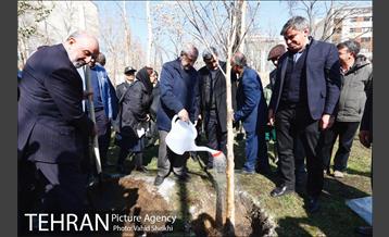 باز آفرینی باغ عبقری منطقه ۲ 14