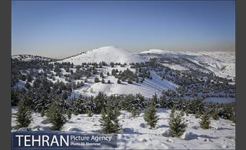 طبیعت برفی تلو 23