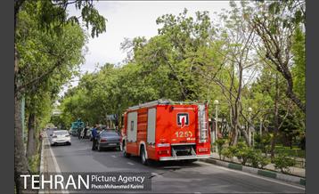 بازدید شهردار منطقه 16 از بوستان های شاخص منطقه در روز طبیعت 8