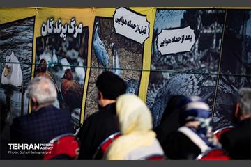رویداد «ققنوس ایران»