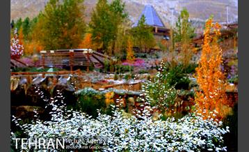 بارش پاییزی برف در ارتفاعات بوستان کوهستانی آبشار تهران‎ 22