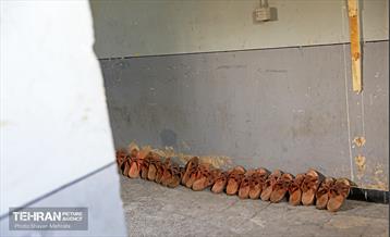 باغ موزه قصر (زندان سیاسی)‎ 4