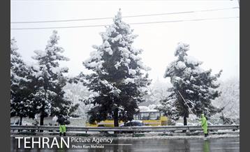 بارش برف زمستانی در تهران 1