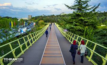 پیاده راه شهید مقیمی / شایان محرابی