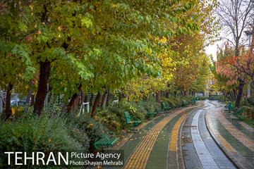 پاییز در بوستان المهدی(عج) 5