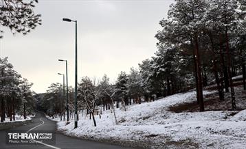 روز برفی در منطقه 22 16