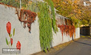 هوای پاییزی پایتخت 45