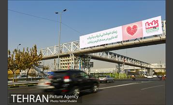 به استقبال شب یلدا همراه با زیباسازی شهر تهران 12