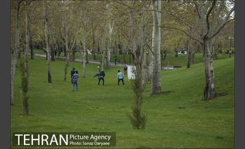 روز طبیعت بارانی در بوستان ملت 6